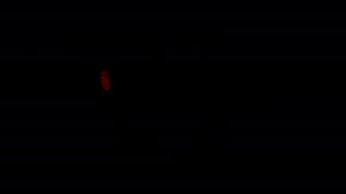 Special Discount-Sale Offers for Valentines Day.  Alpha Channel, Transparent. Drag and Drop on Your Images or Footage. Can be Used Vertically. 03.