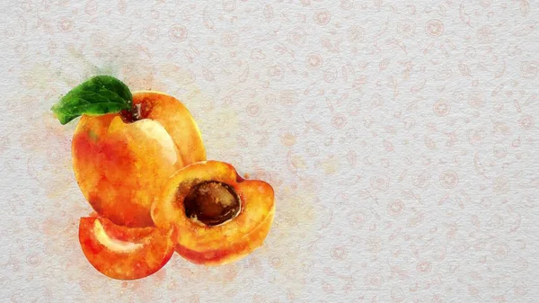 Akvarell Frukt Och Grönsaker Aprikos Text Och Pris Kan Skrivas — Stockfoto