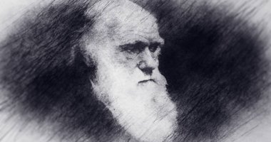 İngiltere. Portre çizimi. Biyolog Charles Darwin.