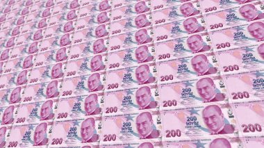 İkiyüz Türk Lirası. 