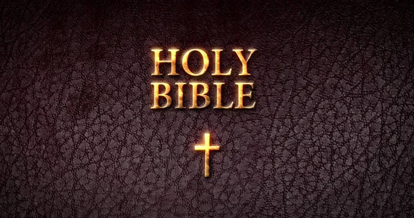 Bíblia Sagrada Capa Livro — Fotografia de Stock