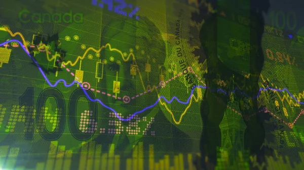 Borsa Fiyat Değişikliklerinin Dijitali.