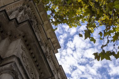 Antik taş sütun ve ağaç yapraklı bulutlu gökyüzü, İstanbul kültürü kavramı, seçici odaklanma