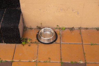Dairenin önündeki boş evcil hayvan kasesi, başıboş hayvanları besleme konsepti, hayvan sevgisi ve dayanışma fikri, gümüşten evcil hayvan kasesi manzarası.