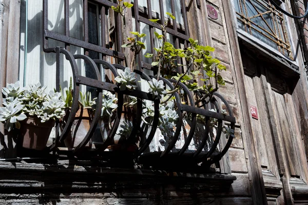 Stock image Wooden old house window with flowers, exterior wood door in Istanbul, old house with gate and window, architecture and building idea: Arnavutkoy, Istanbul, Turkey - September 15 2022