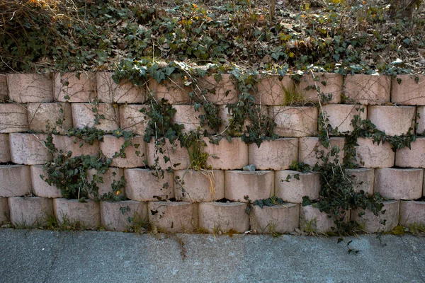 Steingemauerte Gartenmauer Landschaft Mit Grünen Gräsern Felsstruktur Und Pflanzen Frontansicht — Stockfoto