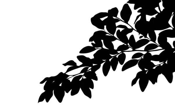 具有叶面矢量轮廓的树枝 复制空间 在白色背景上隔离 前视图 充满黑色的叶面枝叶 阴影概念 自然概念 — 图库矢量图片