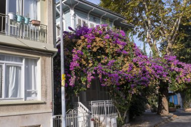 Adamantidis Malikanesi, Büyük Ada 'da yer alan ve Prensler Adaları' nın tarihi köşkü olan Büyükada, Adamantidis Evi, Petraki Adamantidis tarafından yapıldı: Büyükşehir, İstanbul, Türkiye - 10.10.23