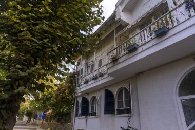 Bahaeddin Bey Malikanesi 'ne yakın olan Büyükada' da bulunan tarihi konak, Bahaeddin Bey Kosku 'nun Türkçesi: Büyükşehir, İstanbul, Türkiye - 10.10.22