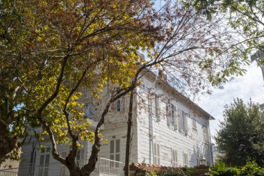 Büyük Ada 'daki Palogolos Köşkü, çapraz görünüm, Princes Adaları tarihi köşkü, Palogolos Kosku, Nikola Atina Palogolos tarafından yapıldı: Büyükşehir, İstanbul, Türkiye - 10.22