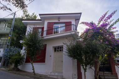 Yanko Malikanesi, Büyük Ada, Prensler Adaları tarihi köşkü, Yanko Evi Kosku, Henri Charles Wondra tarafından yapıldı: Büyükşehir, İstanbul, Türkiye - 10.10.22