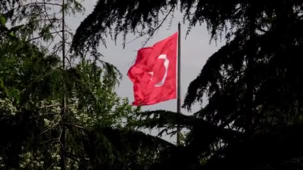 Wuivende Turkse Vlag Tussen Boomtakken Turkse Vlag Ster Halve Maan — Stockvideo