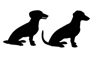Oturan Dachshund köpek siluet vektör seti, beyaz arka planda izole edilmiş, evcil hayvan konsepti, siyah renkle doldurulmuş küçük süslü köpek, sevimli ve tatlı evcil hayvan ikonu, sembol fikri, kenar görünümü dachshund köpeği