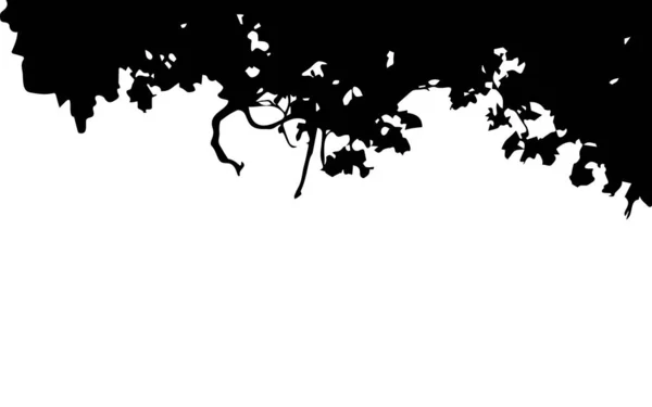 Ветви Деревьев Листья Сверху Вектор Пространства Копирования Изолированный Белом Фоне — стоковый вектор