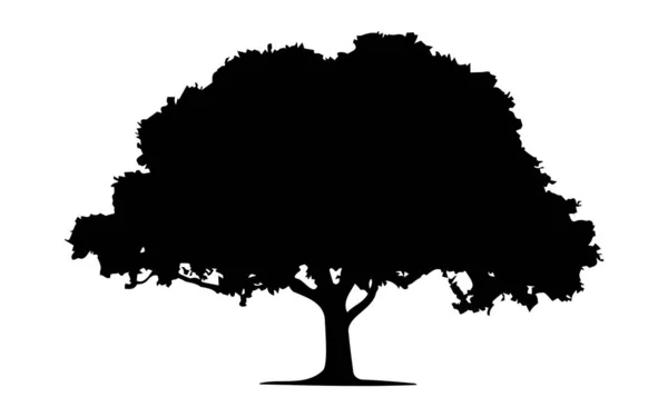 单棵大橡树和树叶的轮廓矢量 隔离在白色背景 自然环境的概念 充满了黑色的树图标 橡木符号的想法 侧视图 复制空间 — 图库矢量图片