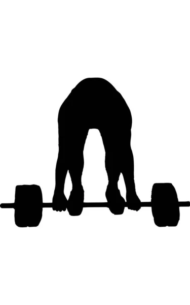 Homme Faisant Silhouette Vectorielle Deadlift Équipement Gymnastique Personne Forte Musculaire — Image vectorielle
