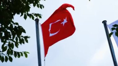 Ağaç yapraklarıyla hindi bayrağı sallayan Türkiye ülke konsepti, hilal ve yıldız kırmızı bayrağı, rüzgarlı hava, 4k 60 fps İstanbul görüntüleri