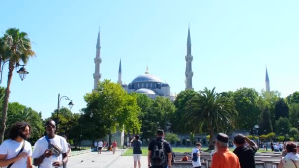Kék Mecset Isztambul Törökország Kék Mecset Kilátás Kék Turisták Muszlim — Stock videók