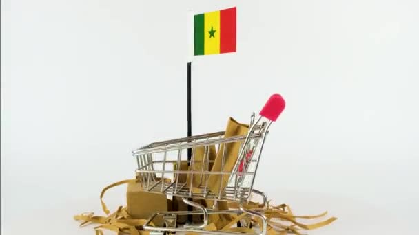 Szenegál Zászló Szupermarketes Kézikocsival Kartondobozokkal Videó Fps Online Marketing Vásárlási — Stock videók