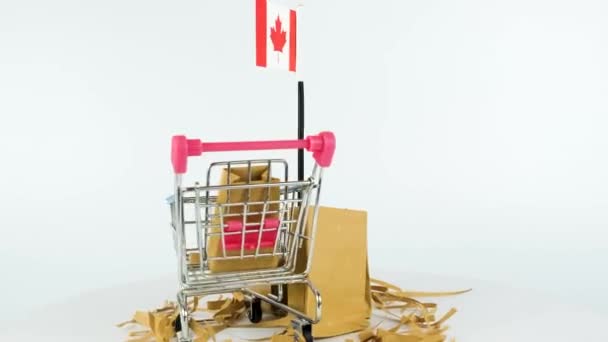 Kanada Bayrağı Süpermarket Arabası Karton Kutu Videosu Fps Çevrimiçi Pazarlama — Stok video