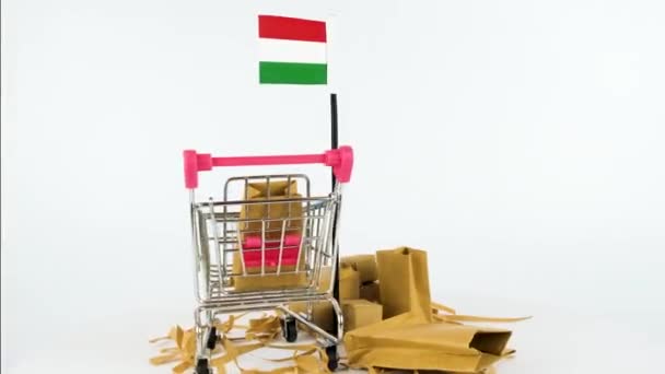 Bandeira Hungria Com Carrinho Supermercado Caixas Papelão Vídeo Fps Conceito — Vídeo de Stock