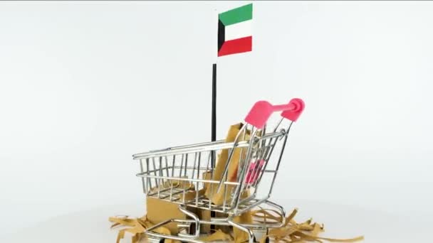 Bandeira Kuwait Com Carrinho Mão Supermercado Caixas Papelão Vídeo Fps — Vídeo de Stock