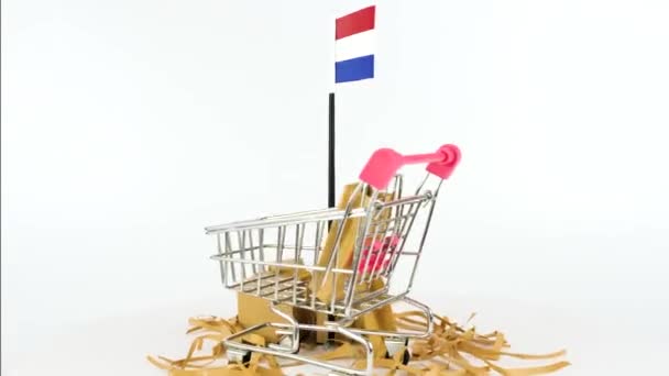 Bandeira Holanda Com Carrinho Supermercado Caixas Papelão Vídeo Fps Conceito — Vídeo de Stock