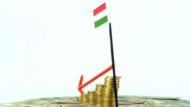Ungern Flagga Med Mynt Skivtallrik Inflation Koncept Video Röd Nedåtpil — Stockvideo