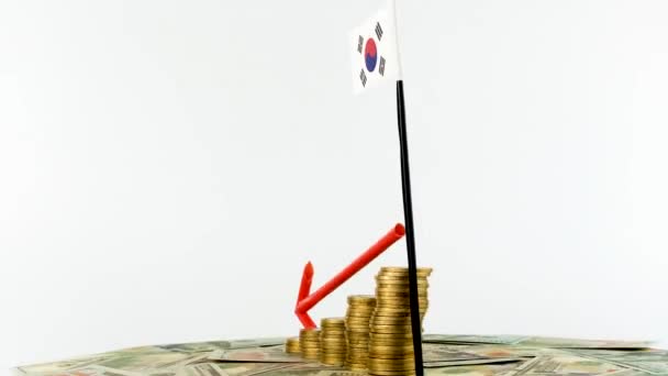 Sydkorea Flagga Med Mynt Skivspelare Inflation Koncept Video Röd Nedåtpil — Stockvideo
