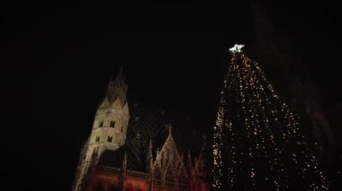 Noel 'de Viyana' daki St. Stephen Katedrali 'nde. Viyana şehrinin Noel süslemeleri ve ışıkları.