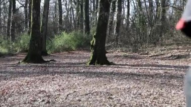 Güzel genç adam ormanda koşuyor. Adam İtalya 'daki parkta antrenman yapıyor. Doğa ile temasta spor ve refah kavramı.