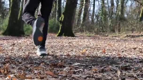 Beautiful Young Man Running Woods Man Training Park Italy Concept — Video