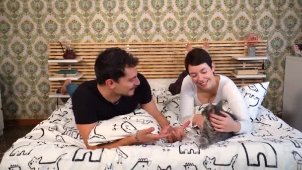Νεαρό Ζευγάρι Παίζει Γάτα Τους Στο Κρεβάτι Όμορφο Ζευγάρι Χαϊδεύει — Αρχείο Βίντεο