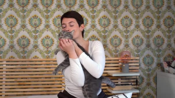 Beautiful Woman Playing Cat Bedroom Woman Strokes Fluffy Gray Cat — Video Stock