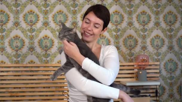 Gyönyörű Játszik Macskájával Hálószobában Simogatja Bolyhos Szürke Macskát — Stock videók