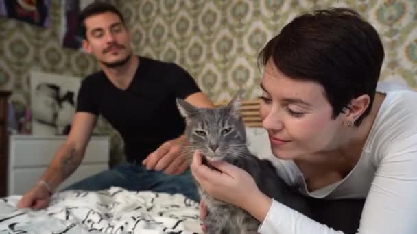 Junges Paar Spielt Mit Seiner Katze Auf Dem Bett Schönes — Stockvideo