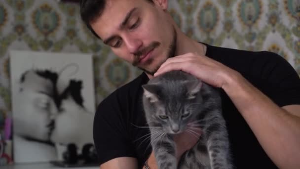 Young Man Playing Cat Bed Uomo Caress Fluffy Gray Cat — Vídeo de stock