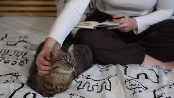 Beautiful Woman Playing Cat Bedroom While Writing Notes Her Planner — Wideo stockowe