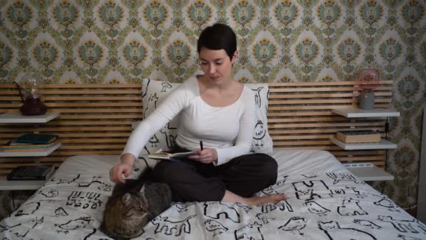 漂亮的女人在卧室里和她们的猫玩耍 那女人摸那只毛茸茸的灰猫 — 图库视频影像