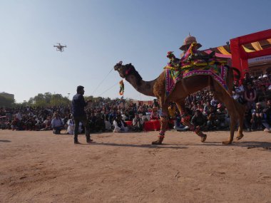 Bikaner Rajasthan, Hindistan: 14 Ocak 2018 Deve Boyama.