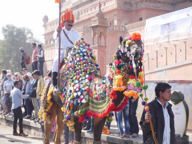 Bikaner Rajasthan, Hindistan: 14 Ocak 2018 En İyi Hintli Deve Festivali 'nde Deve Madalyası.