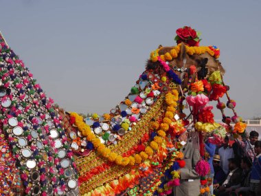 Bikaner Rajasthan, Hindistan: 14 Ocak 2018 En İyi Hintli Deve Festivali 'nde Deve Madalyası.