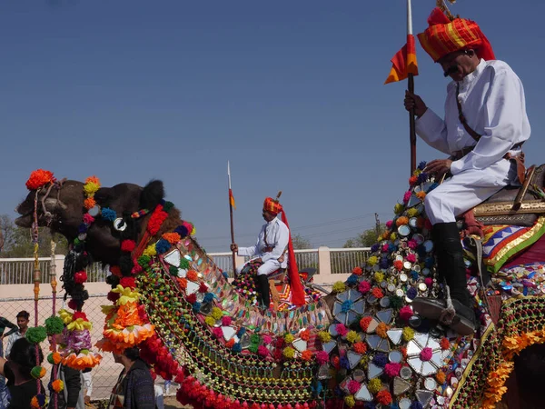 Bikaner Rajasthan India Enero 2018 Camello Decorado Festival Camellos Top Imágenes de stock libres de derechos