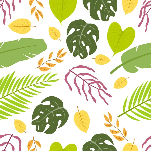 Тропические Листья Паттрена Белом Фоне — стоковый вектор