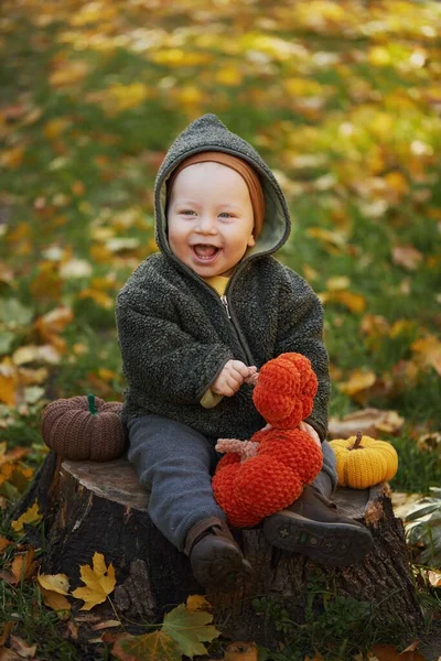 秋の森を背景に手編みのカボチャを手に持つかわいい笑顔の赤ちゃん 居心地の良い秋と家の装飾の概念 — ストック写真
