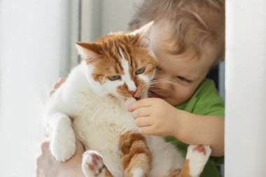 A small cute child gently embraces a red fluffy cat