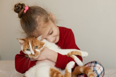 A small cute child gently embraces a red fluffy cat. Lovely pet. The concept of caring for a pet and children's love for animals	 