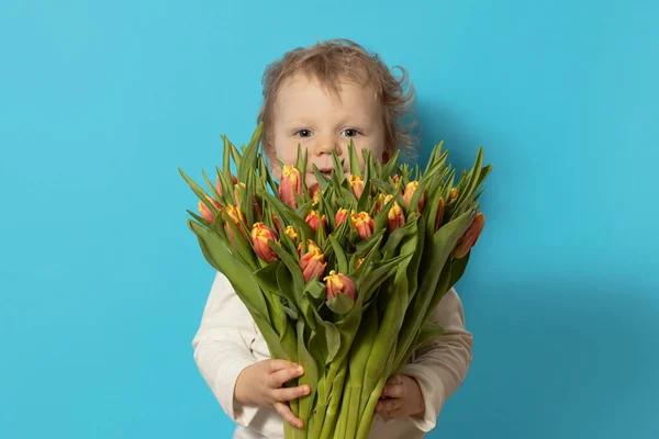 stock image Cute smiling baby holding a beautiful bouquet of tulips in front of his face isolated on blue. Little boy gives a bouquet to mom