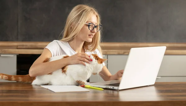 stock image Young woman using laptop and cute cat sitting on the keyboard. Casual girl working on a laptop with her pet while sitting in a homely cozy office.