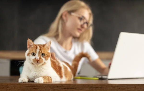 Jovem Mulher Usando Laptop Gato Bonito Sentado Teclado Menina Casual — Fotografia de Stock